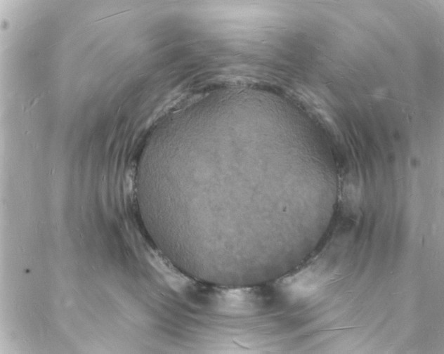 X0000088070382200705251408