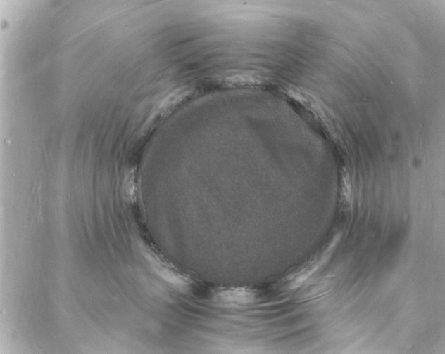 X0000088070383200705251408