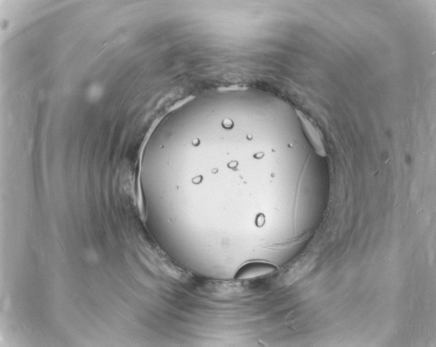 X0000088070384200705251408