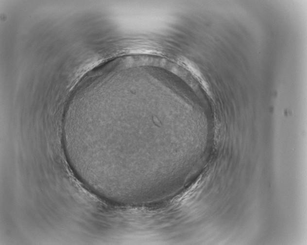 X0000088070385200705251407