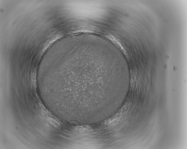 X0000088070386200705251407