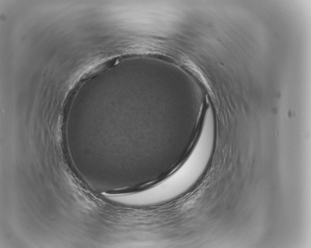 X0000088070387200705251407