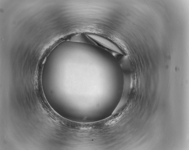 X0000088070388200705251407