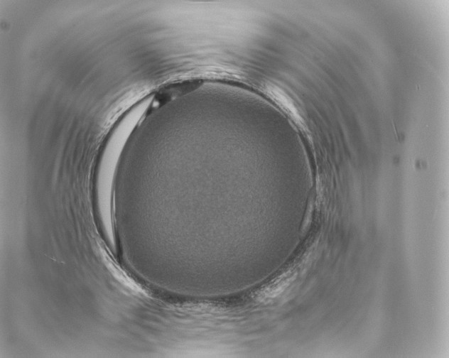 X0000088070389200705251407