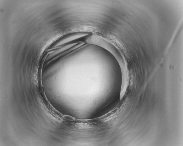 X0000088070392200705251407