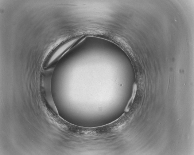 X0000088070395200705251407