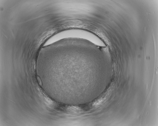 X0000088070397200705251407