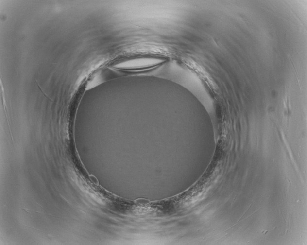 X0000088070399200705251407