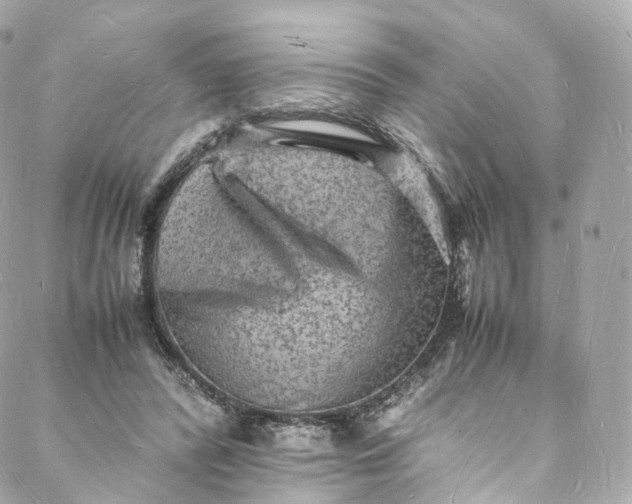 X0000088070400200705251407