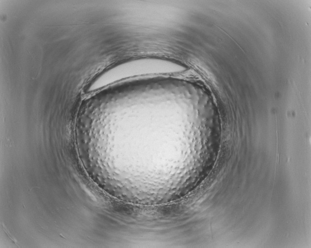 X0000088070401200705251407