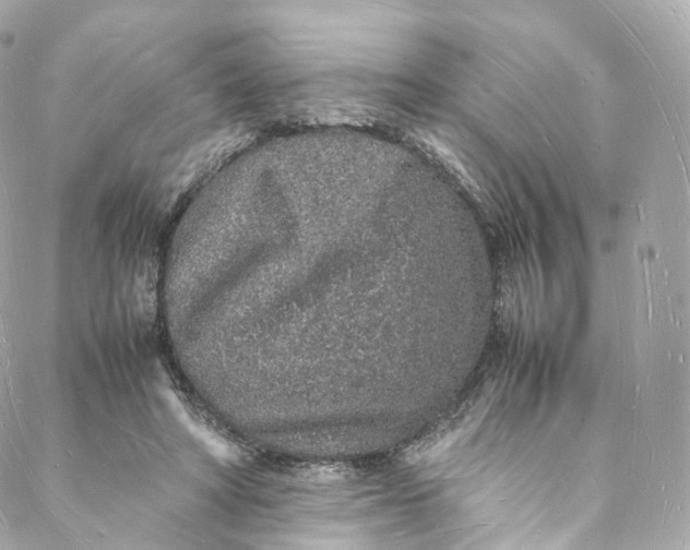 X0000088070402200705251407