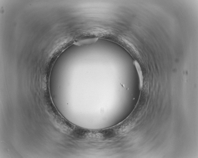 X0000088070403200705251407