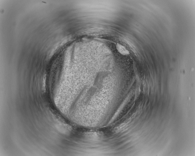 X0000088070404200705251407