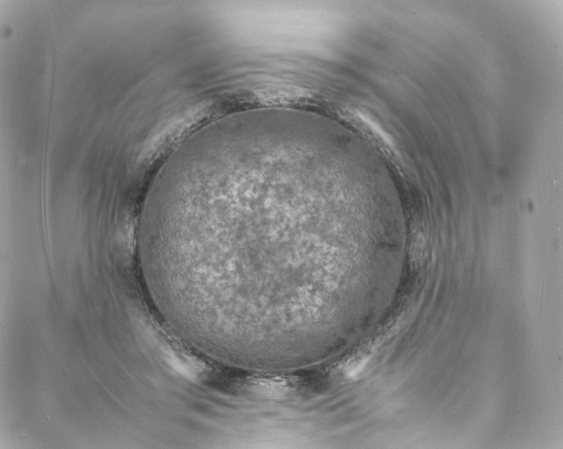 X0000088070405200705251407