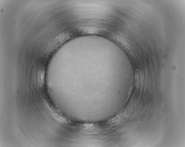 X0000088070406200705251407