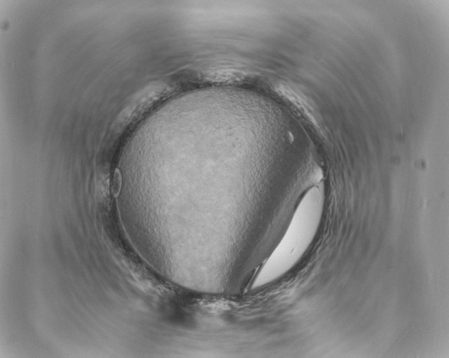 X0000088070407200705251407