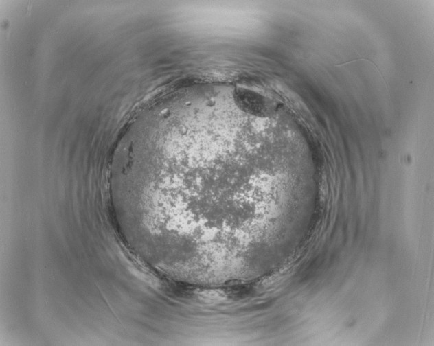 X0000088070409200705251407