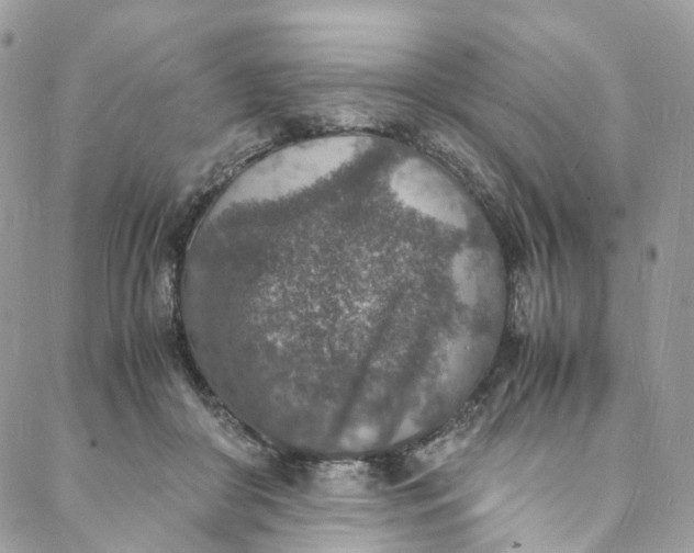 X0000088070410200705251407