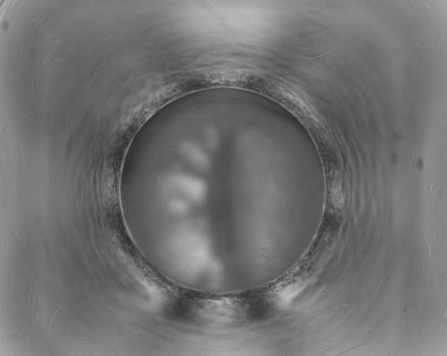 X0000088070411200705251407