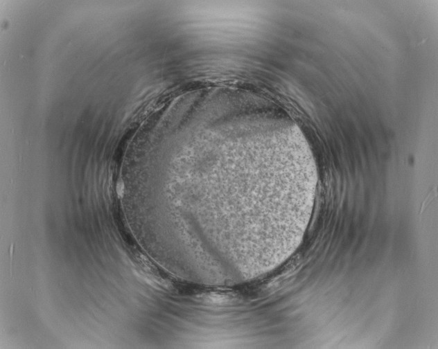 X0000088070412200705251407