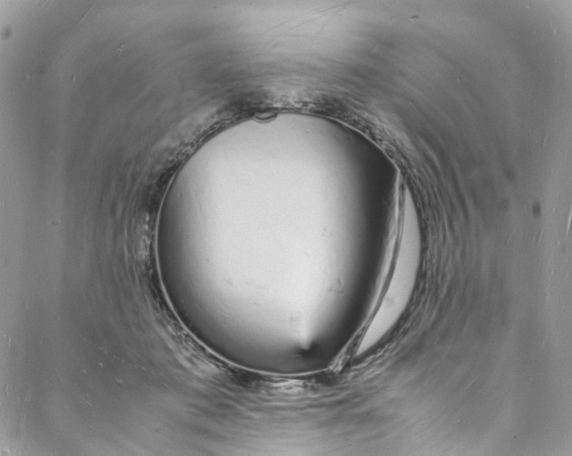 X0000088070413200705251407