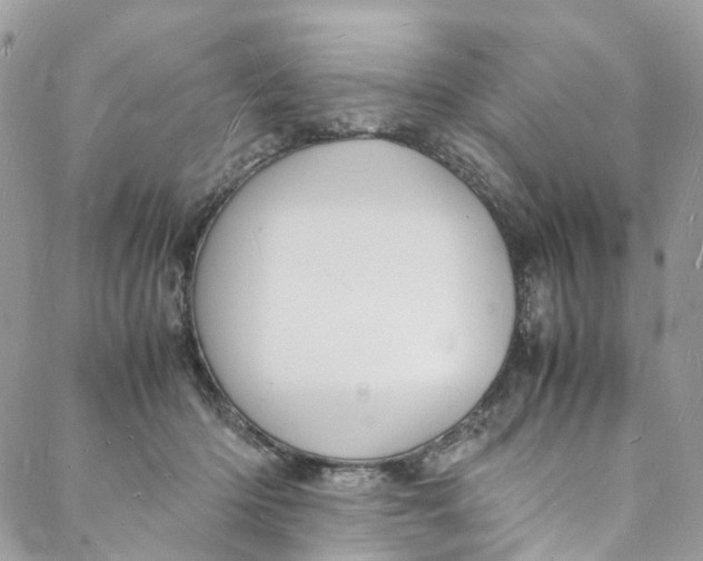 X0000088070414200705251407