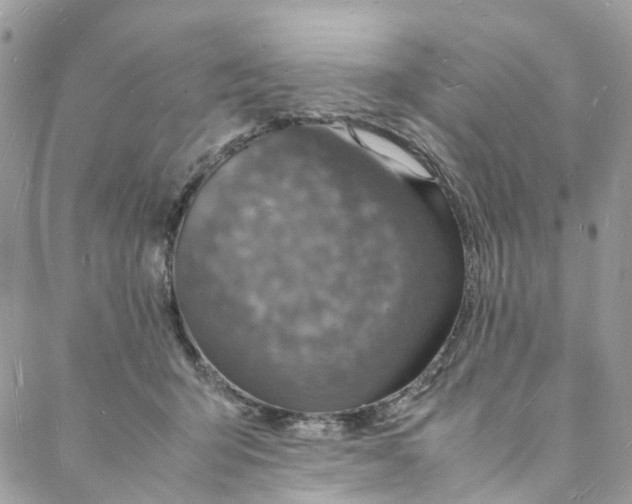 X0000088070415200705251407