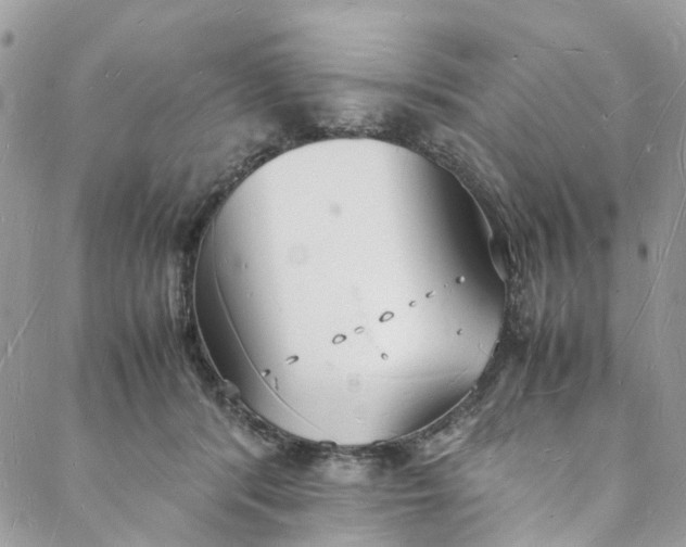 X0000088070416200705251407