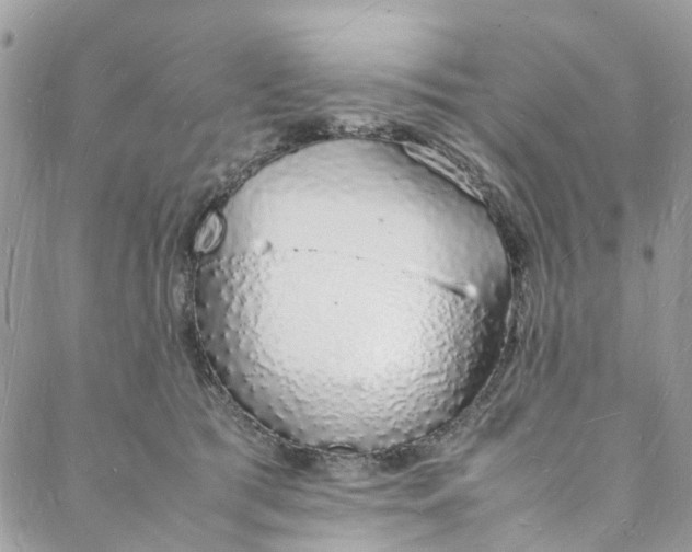 X0000088070417200705251407