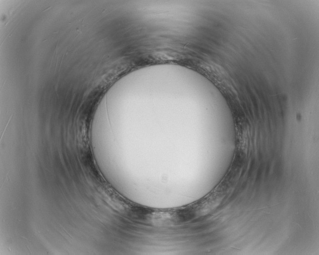 X0000088070418200705251407