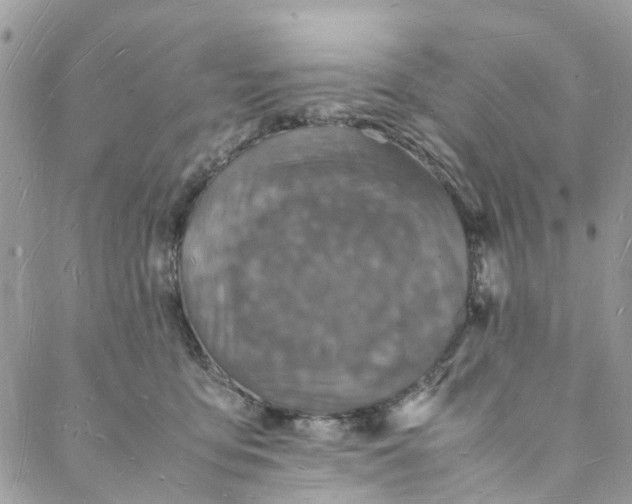 X0000088070419200705251407