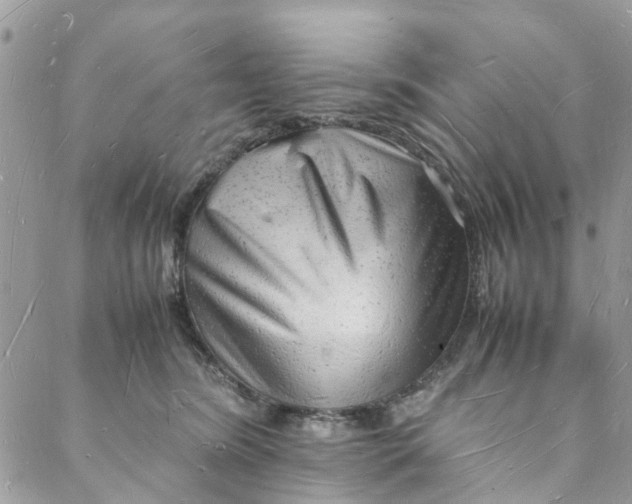 X0000088070420200705251407