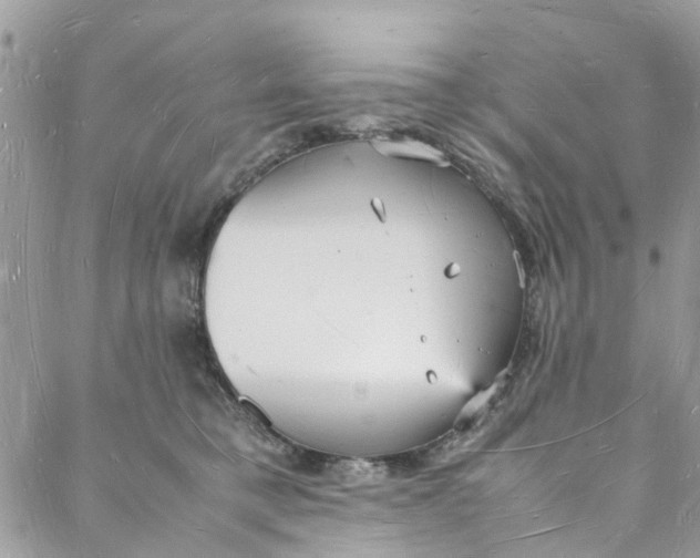 X0000088070421200705251407