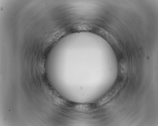 X0000088070422200705251407