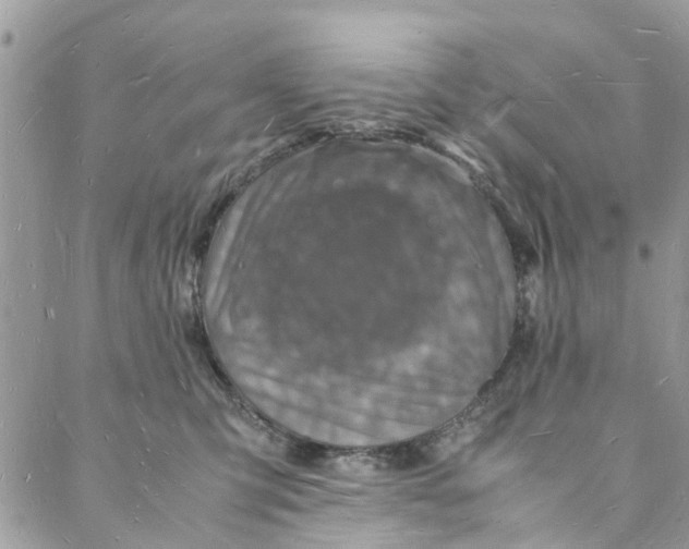 X0000088070423200705251407