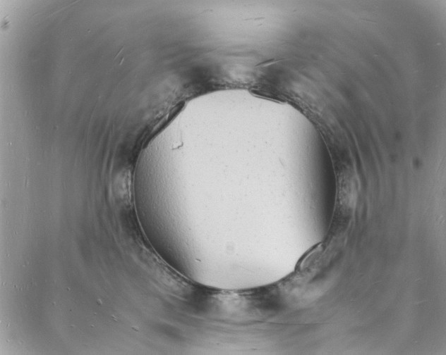 X0000088070425200705251407