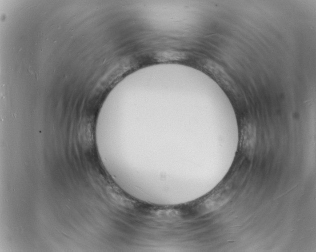 X0000088070426200705251407