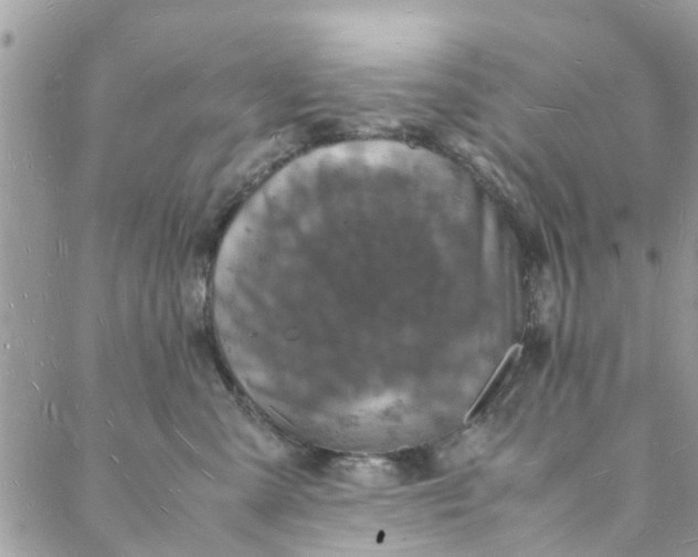 X0000088070427200705251407