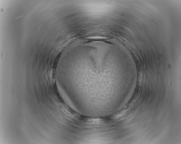 X0000088070428200705251407