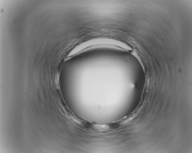 X0000088070429200705251407