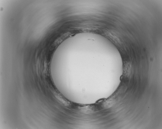 X0000088070430200705251407