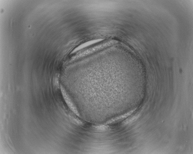 X0000088070432200705251407