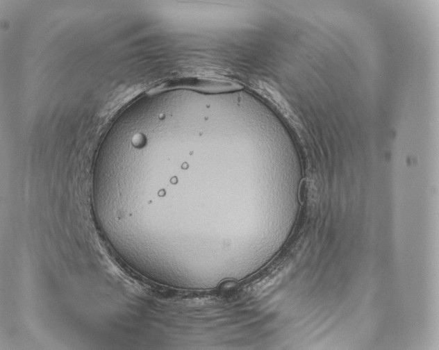 X0000088070433200705251406