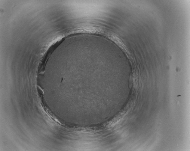 X0000088070434200705251406