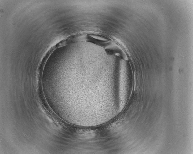 X0000088070435200705251406