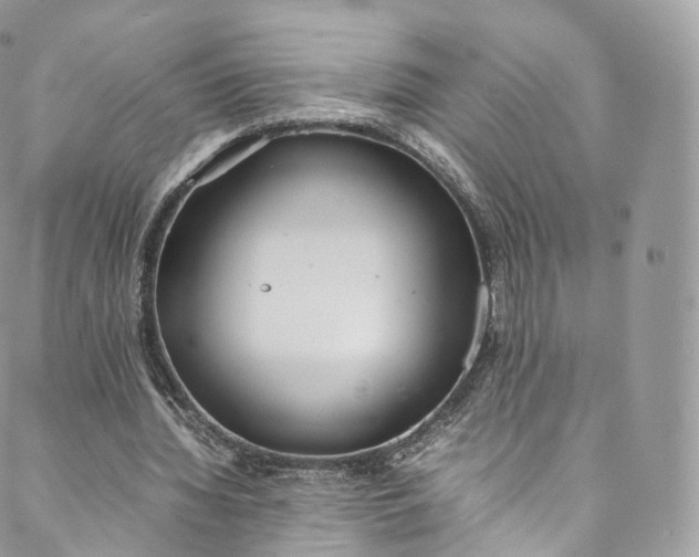 X0000088070436200705251406