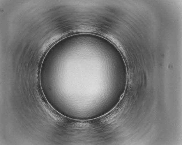 X0000088070437200705251406