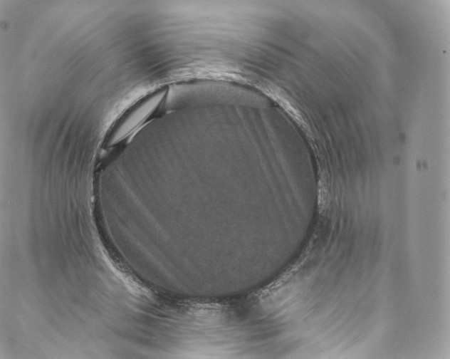 X0000088070438200705251406