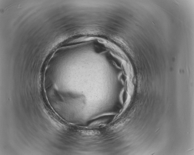 X0000088070439200705251406