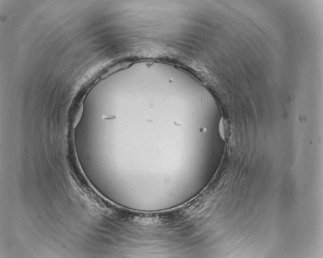 X0000088070440200705251406